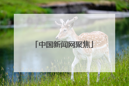 中国新闻网聚焦